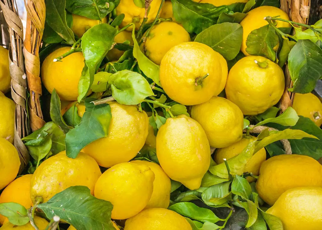 Italy Amalfi's Lemon | Fresh by Air Mercato Gourmet - Fruits @Mercato Gourmet | Your Italian Gourmet Supermarket