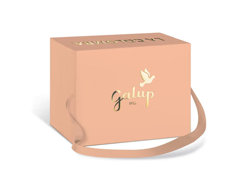Gran Colomba with Peach & Vanilla 750g - Galup