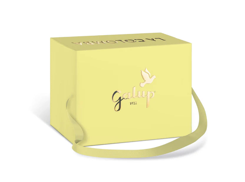 Gran Colomba with Lemon & Apricot 750g - Galup