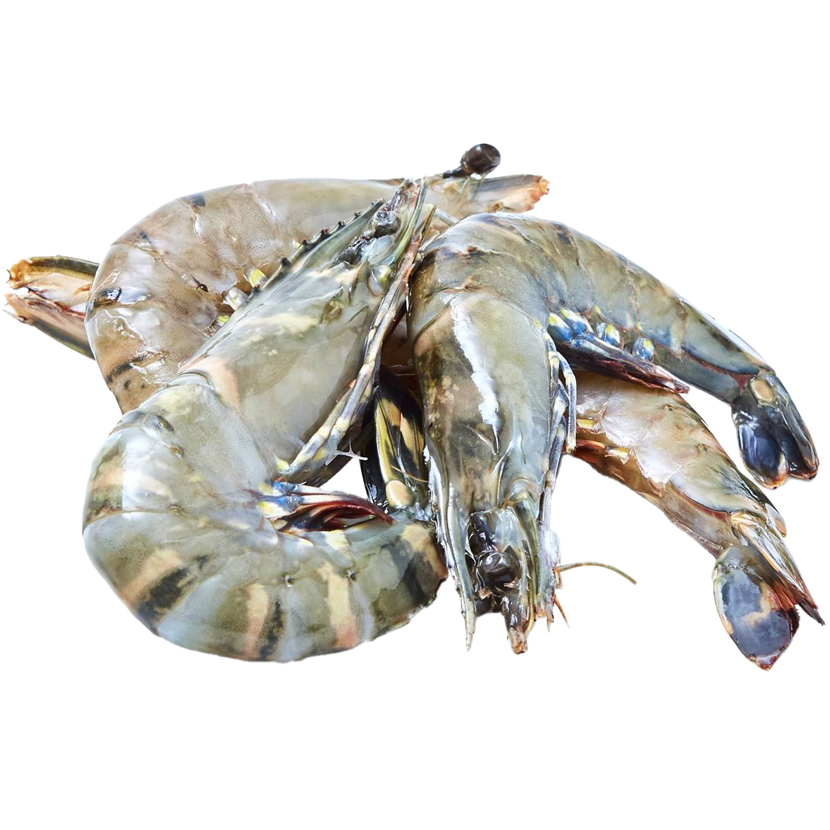 Frozen Super Jumbo Sea Tiger Prawn 400g