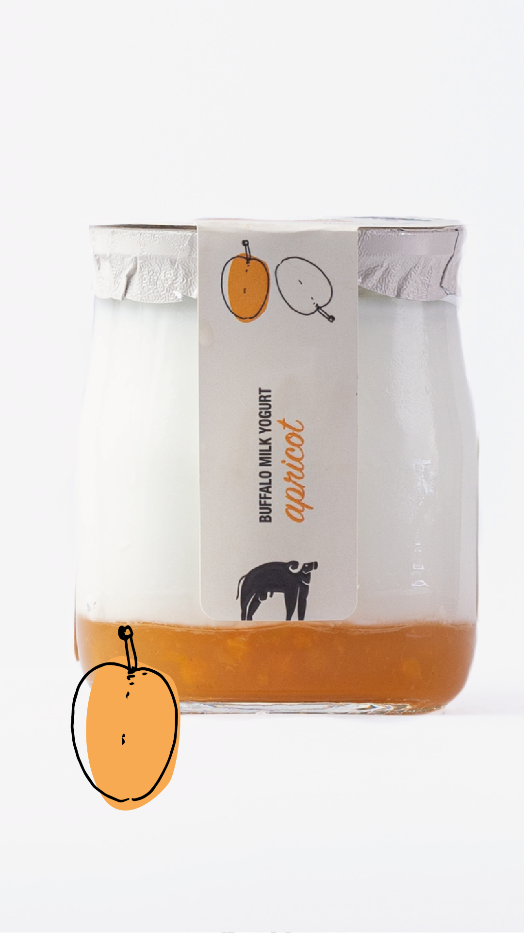 Buffalo Yogurt Apricot 110g - San Salvatore