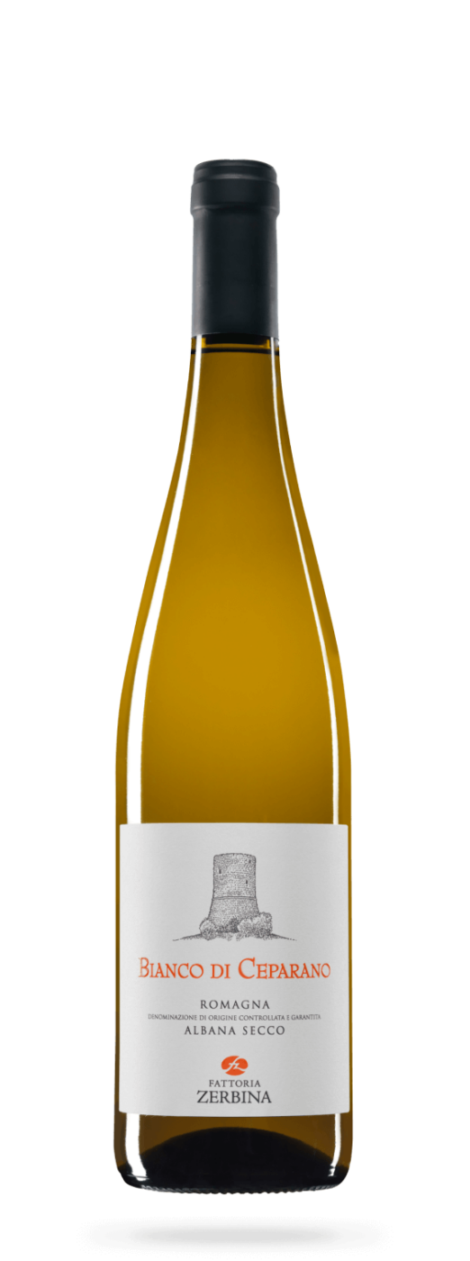 Bianco di Ceparano Romagna Albana Secco DOCG 2023 750ML - Fattoria Zerbina
