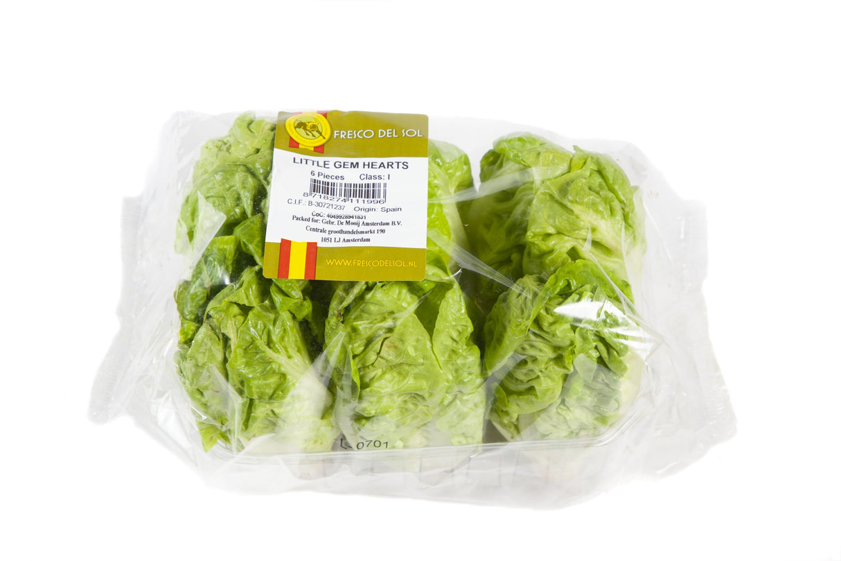 Baby Gem Sucrine Lettuce 6pc