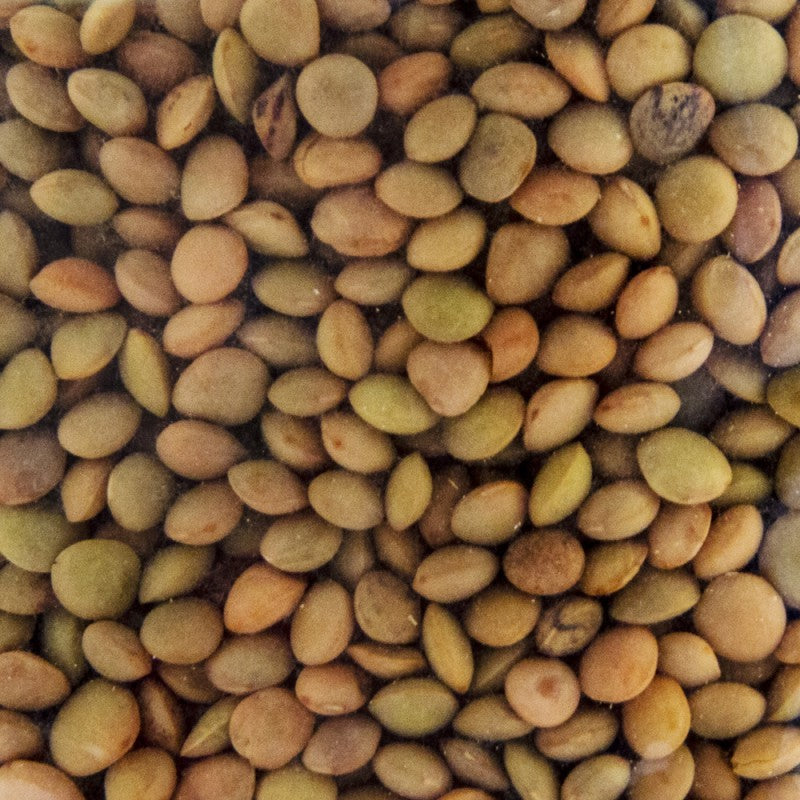 CASTELLUCCIO LENTILS 500G - Castellanza Formaggi