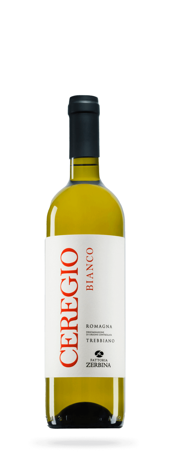 Ceregio Bianco Romagna Trebbiano DOC 750ML - Fattoria Zerbina