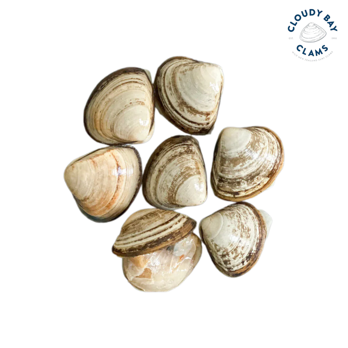 New Zealand Storm Clams 1kg Frozen - Cloudy Bay