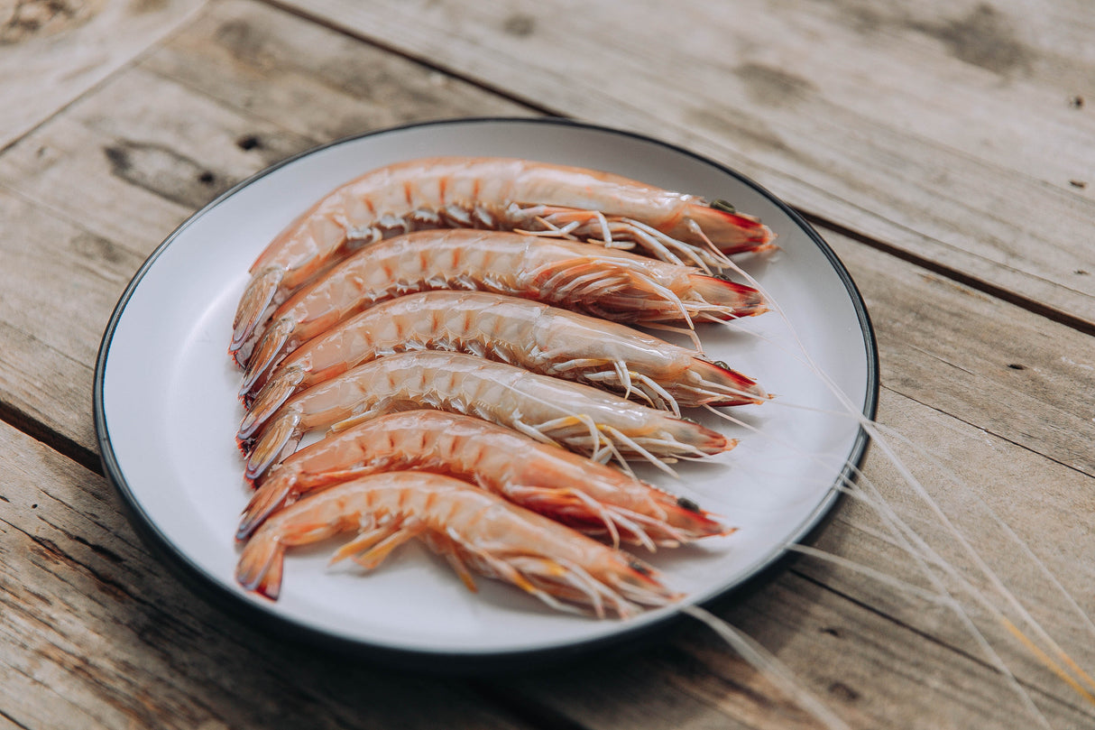 Wild-Caught Frozen Eastern King Prawn - Silve Sea
