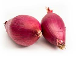 Red Tropea Onions 2 packs
