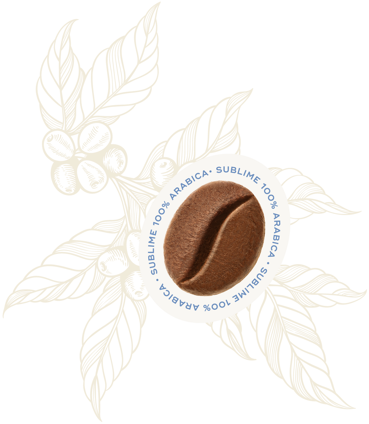 Sublime 100% Arabica Coffee Beans 250g - Hausbrandt