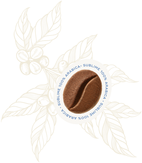 Sublime 100% Arabica Coffee Beans 250g - Hausbrandt