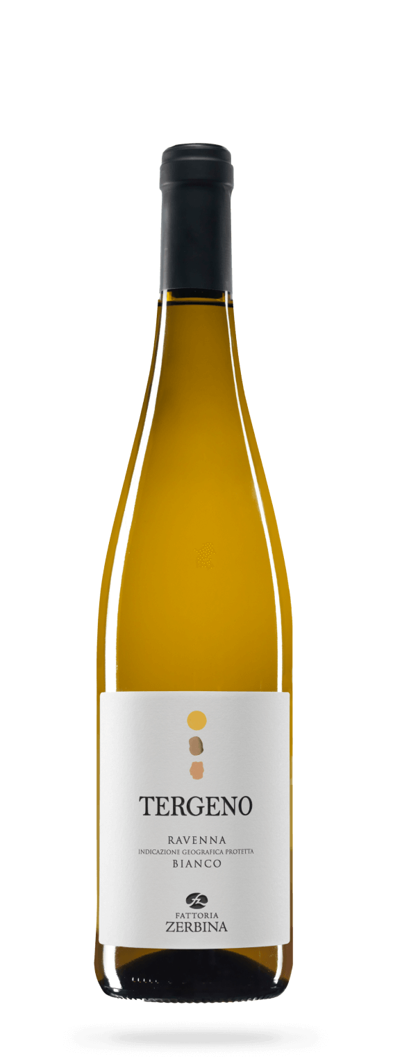 “Tergeno” Ravenna Bianco IGP 750ML - Fattoria Zerbina