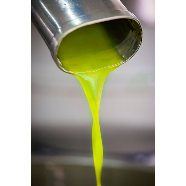 Organic Aristeo Extra Virgin Olive Oil 3L - Cote di Mezzo Cote di Mezzo - Oil @Mercato Gourmet | Your Italian Gourmet Supermarket