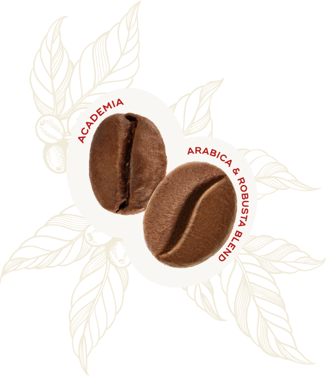 Academia 90% Arabica & 10% Robusta Coffee Beans 1kg - Hausbrandt