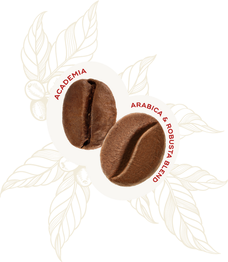 Academia 90% Arabica & 10% Robusta Coffee Beans 1kg - Hausbrandt
