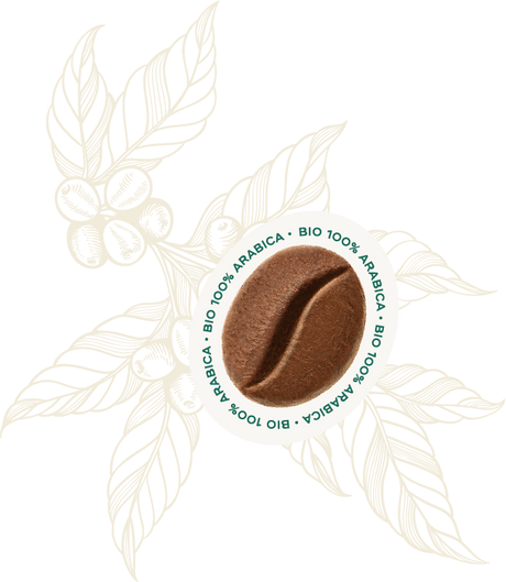 Bio 100% Arabica Coffee Beans 1kg - Hausbrandt