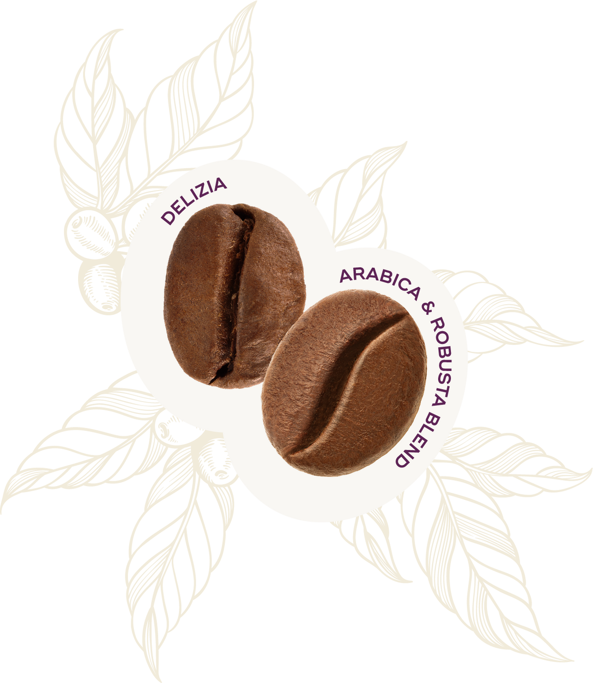 Delizia Ground Coffee 250g - Hausbrandt