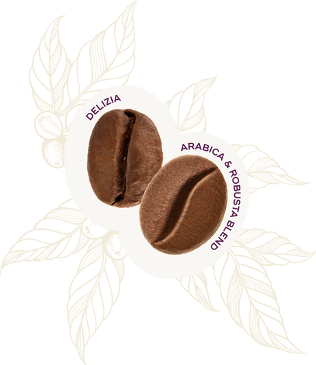 Delizia Ground Coffee 250g - Hausbrandt