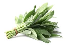 Fresh Sage 25g(±10%) / bunch