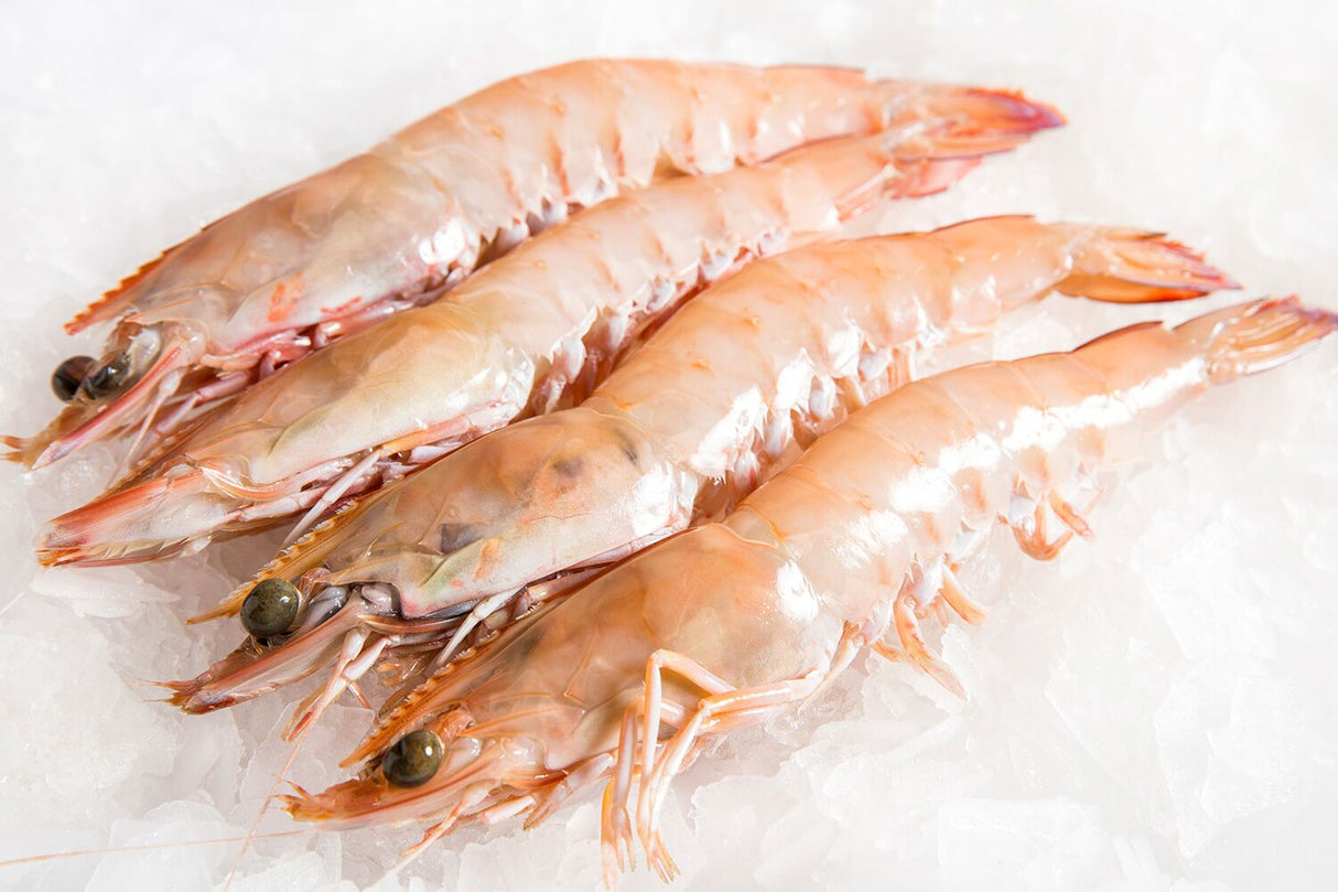 Wild-Caught Frozen Eastern King Prawn - Silve Sea
