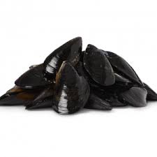 Australian Fresh Blue Large Mussels 1kg