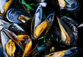 Australian Fresh Blue Large Mussels 1kg