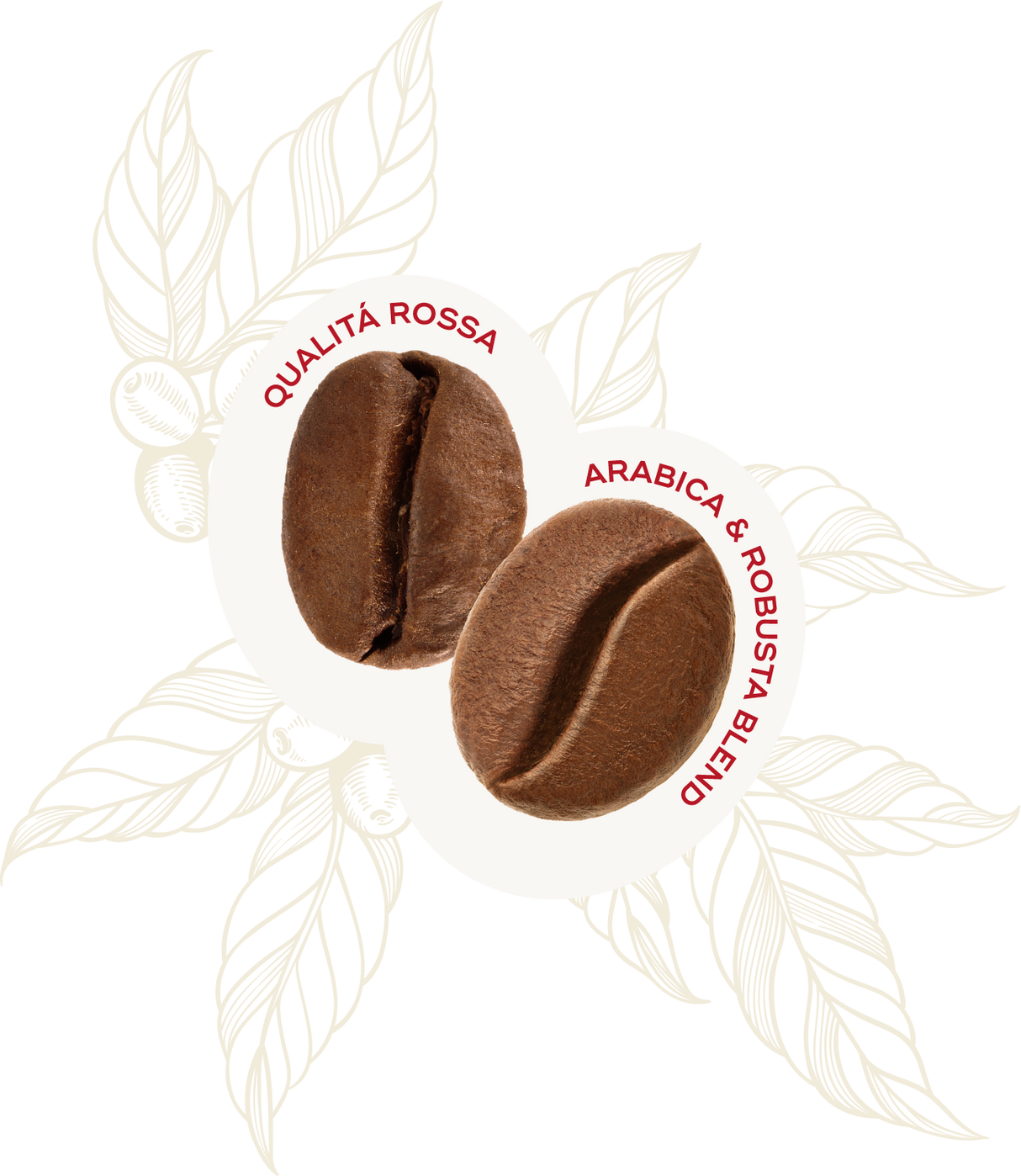 Qualita Rossa Ground Coffee 250g - Hausbrandt