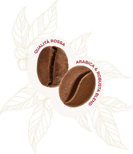 Qualita Rossa Ground Coffee 250g - Hausbrandt