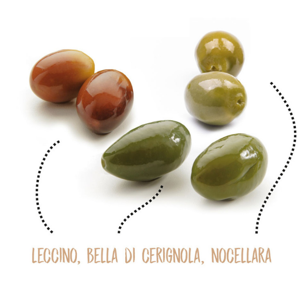 Mixed Olives with Stone in Brine 1062 ml - Sinisi