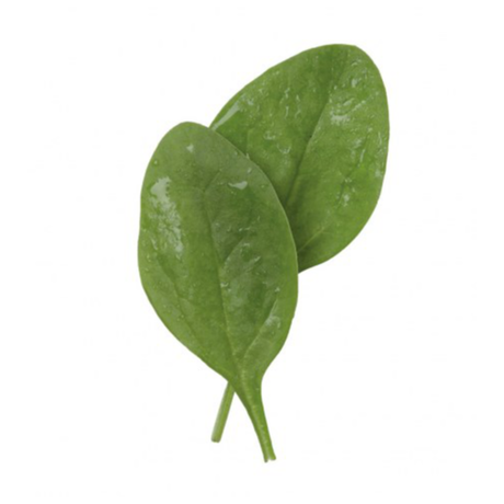 Baby Spinach Unwashed La Veneta - Salads @Mercato Gourmet | Your Italian Gourmet Supermarket