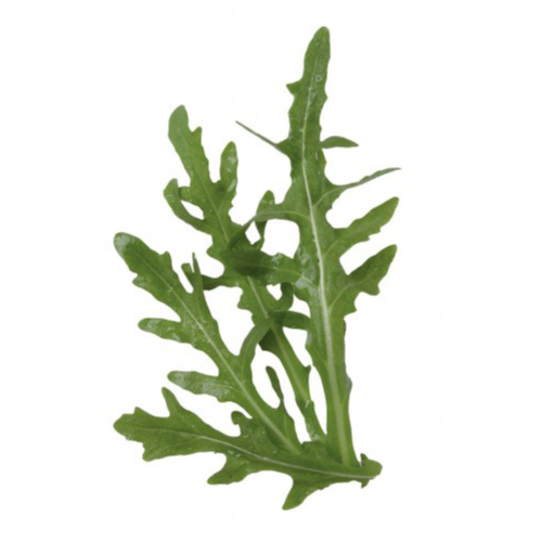 Wild Rocket Unwashed La Veneta - Salads @Mercato Gourmet | Your Italian Gourmet Supermarket