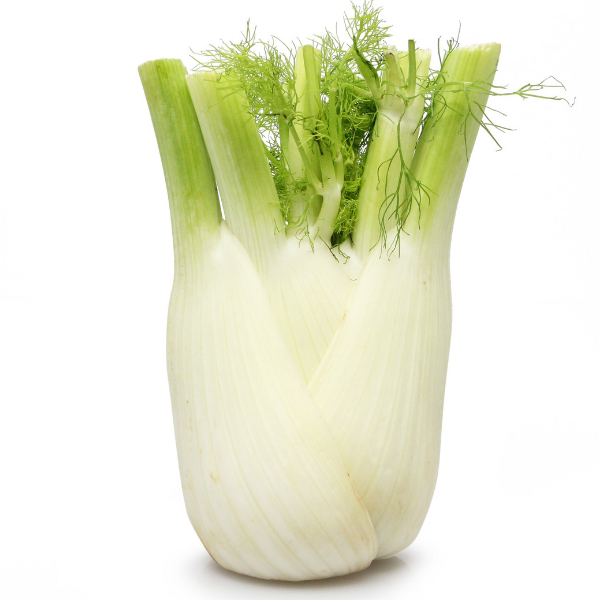 Fennel Mercato Gourmet - Vegetables & Mushrooms @Mercato Gourmet | Your Italian Gourmet Supermarket