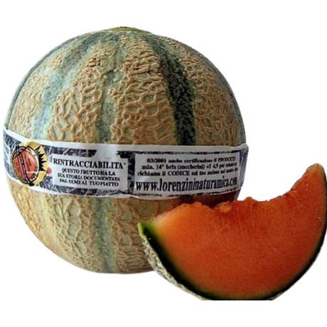 Musk Melon Lorenzini 1 Piece Mercato Gourmet - Fruits 1.5-1.8kg pc @Mercato Gourmet | Your Italian Gourmet Supermarket