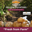 Italian Yellow Potato 1.5kg BASKET - PDT PERLEDELLATUSCIA PDT PERLEDELLATUSCIA - Potato @Mercato Gourmet | Your Italian Gourmet Supermarket
