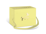 Gran Colomba with Lemon & Apricot 750g - Galup