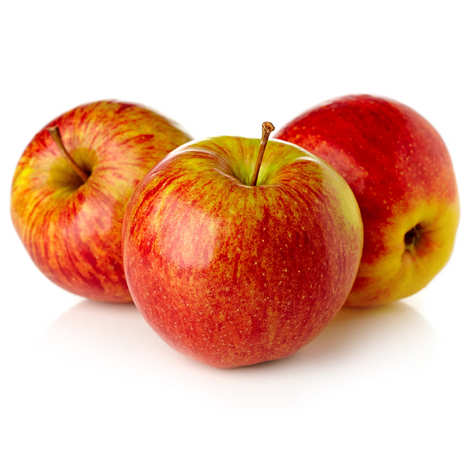 Elstar - French Apple