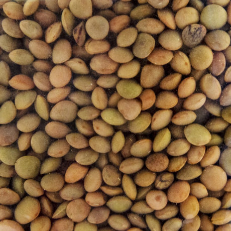 CASTELLUCCIO LENTILS 500G -  Castellanza Formaggi
