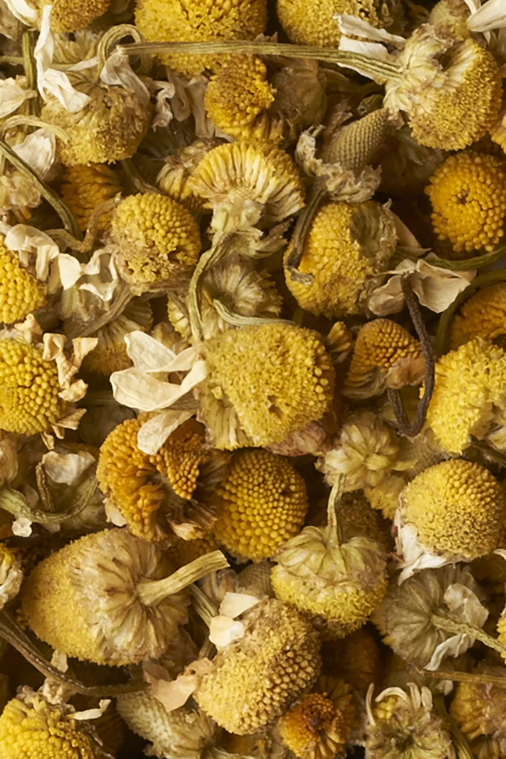 Chamomile 50g (in 20 Tea Bags) - La Via del Tè