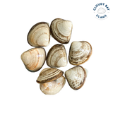 New Zealand Storm Clams 1kg Frozen - Cloudy Bay