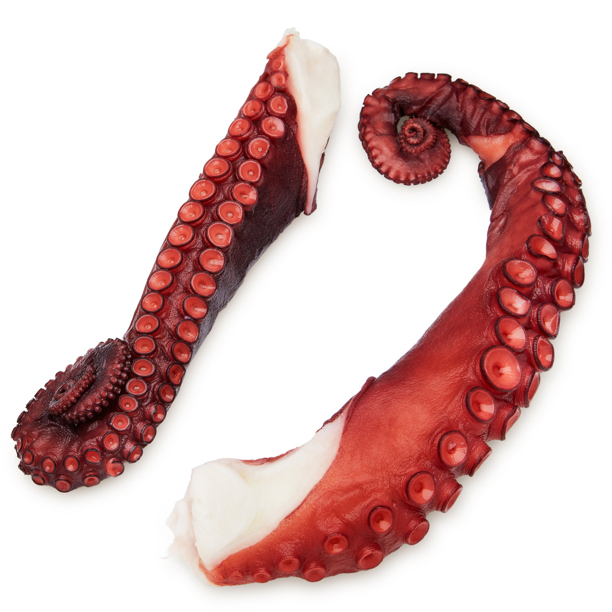 Cooked Octopus Tentacles In Vacuum - Winnerfish