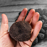 Fresh black summer truffle mercato gourmet scorzone truffle, scorzone truffle, tuber aestivum burgundy truffle