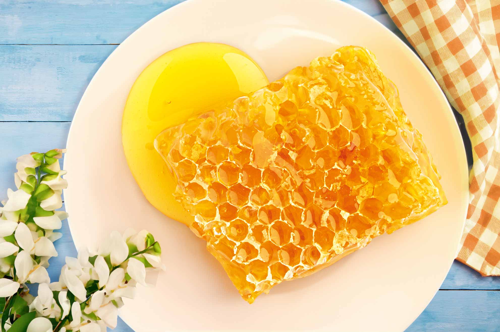 Miele di Acacia Honey 500g - Gentilini – Mercato Gourmet