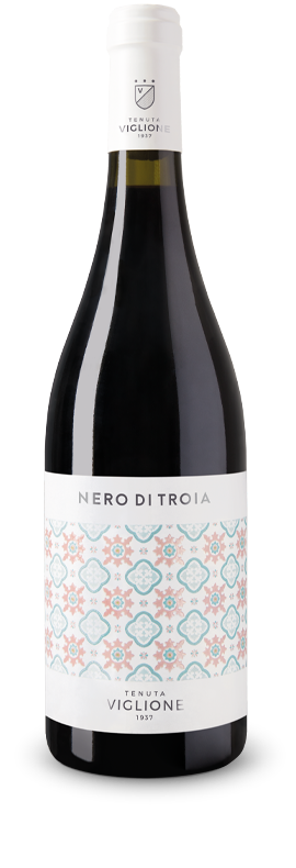 Organic Nero di Troia Puglia  750ml - Tenuta Viglione