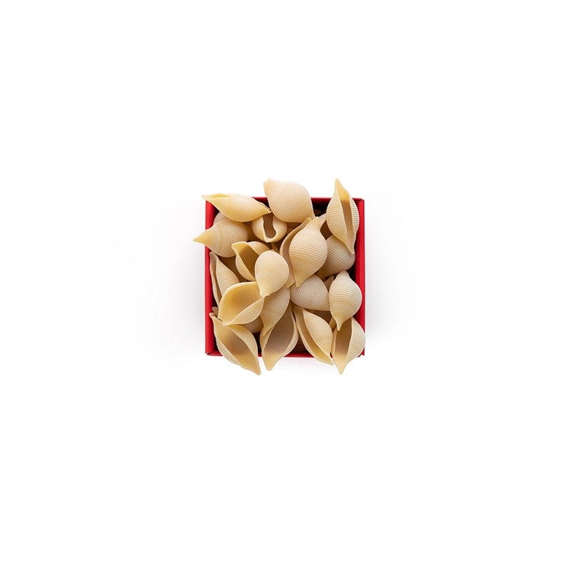 Conchiglioni of Gragnano IGP 500g - Pastificio Dei Campi