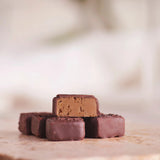 Chocolate-Covered Fig & Cinnnamon Truffles 12pc - Lavoratti