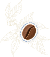 Sublime 100% Arabica Coffee Beans 250g - Hausbrandt