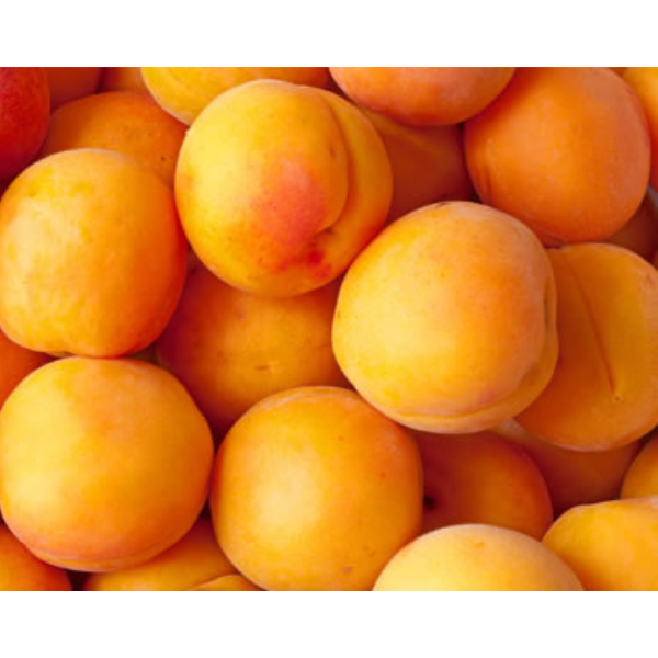 Apricots 5-6 Pieces