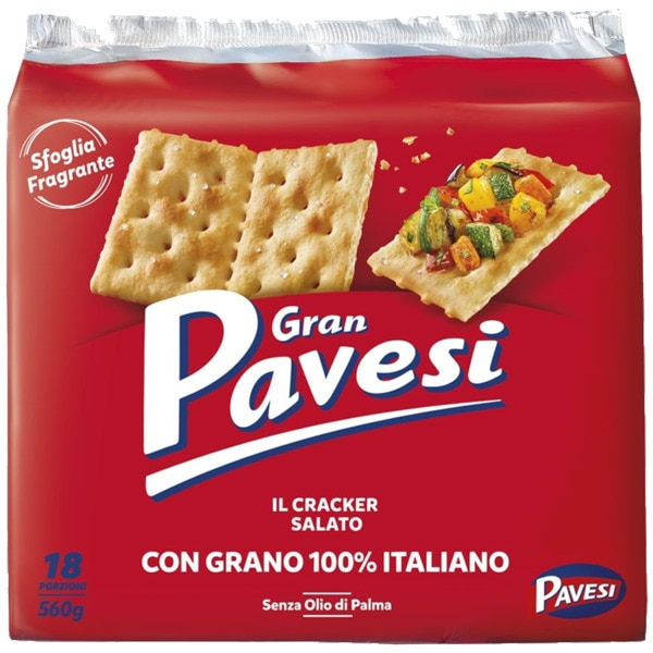 Salted Crackers (Topped with Salt Grains) 560g - Pavesi