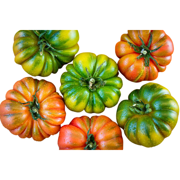 Tomato Marinda 400g (±10%)