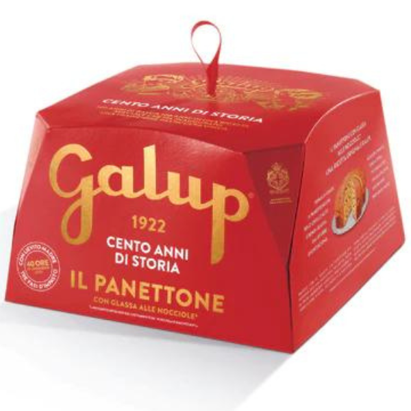 Traditional Panettone 500g - Galup