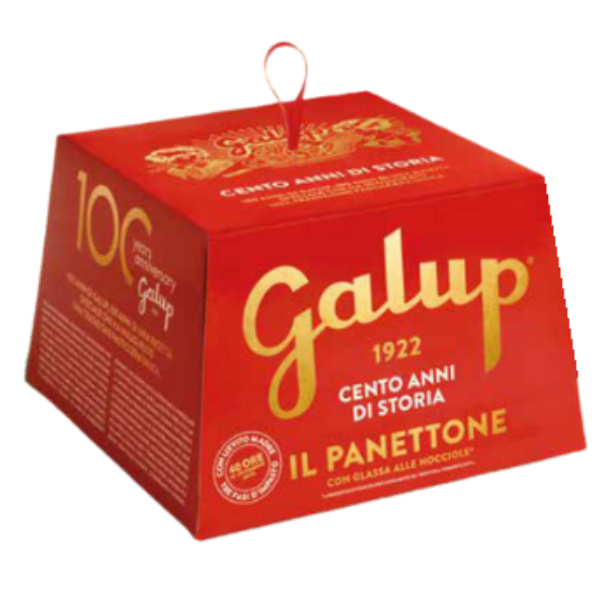 Traditional Panettone 100g - Galup